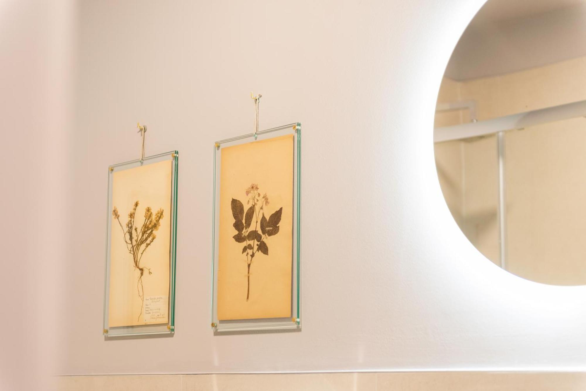 Regina Boutique Suites Τεργέστη Εξωτερικό φωτογραφία